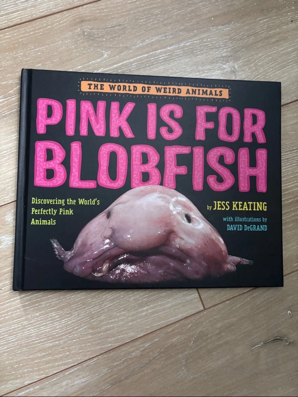 Pink Is For Blobfish - Discovering the World’s Perfectly Pink Animals NEW!
